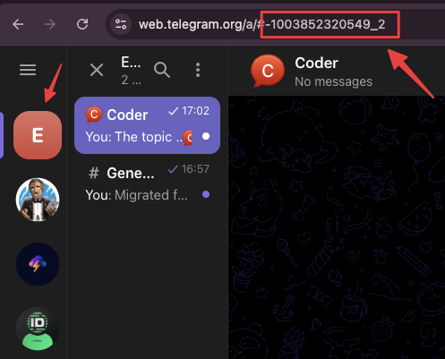 URL bar showing the chat ID and topic ID